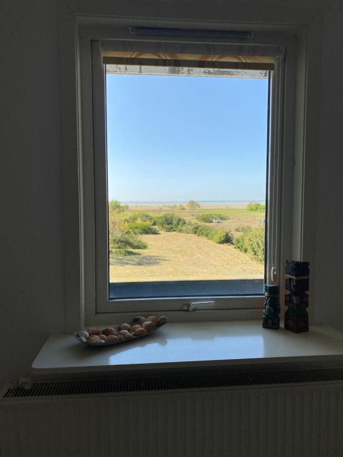 Freistehendes Einfamilienhaus Mit Boddenblick Naehe Ostsee Fuhlendorf  Екстериор снимка