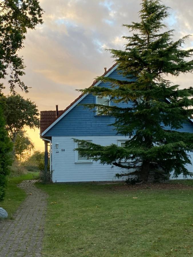 Freistehendes Einfamilienhaus Mit Boddenblick Naehe Ostsee Fuhlendorf  Екстериор снимка
